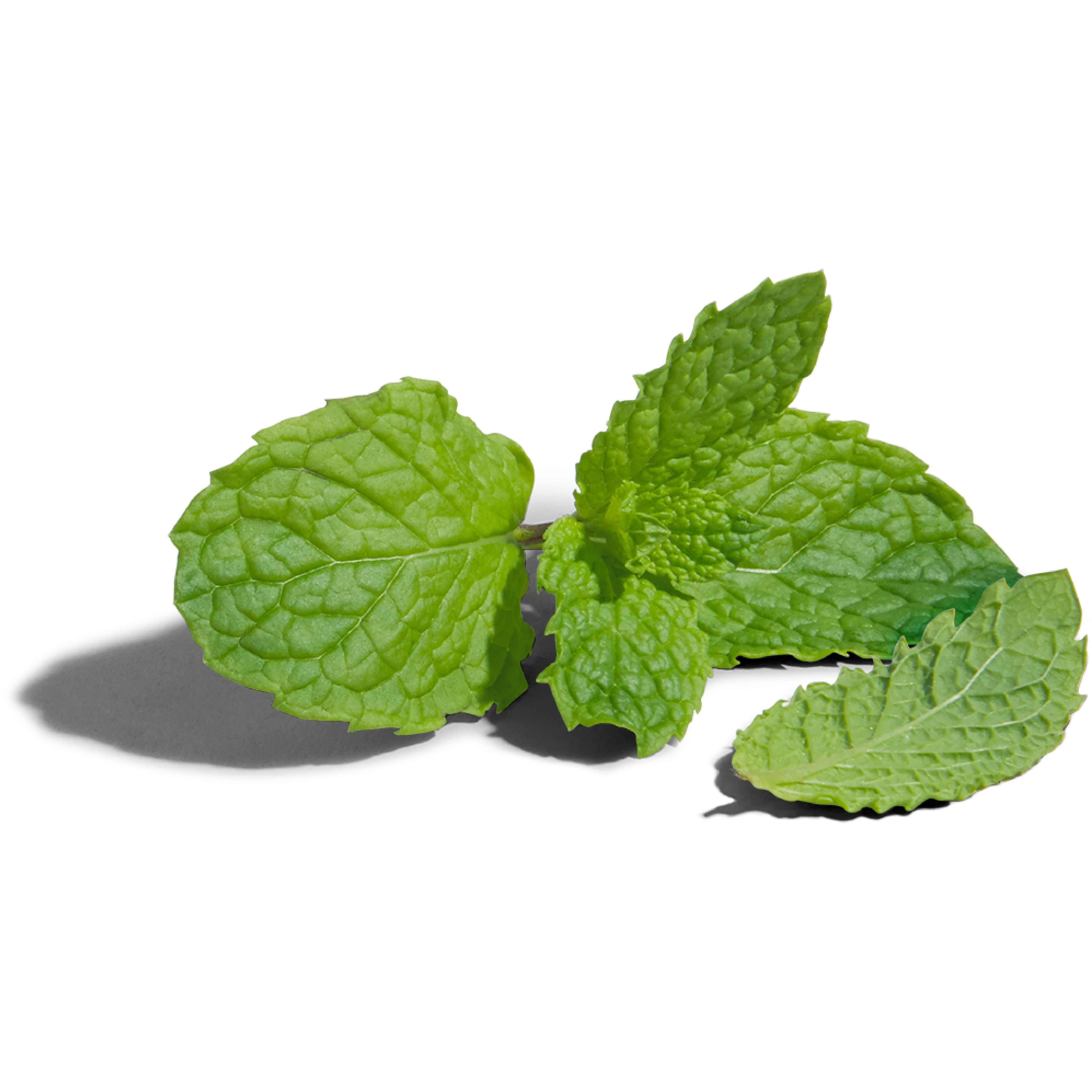 Mint