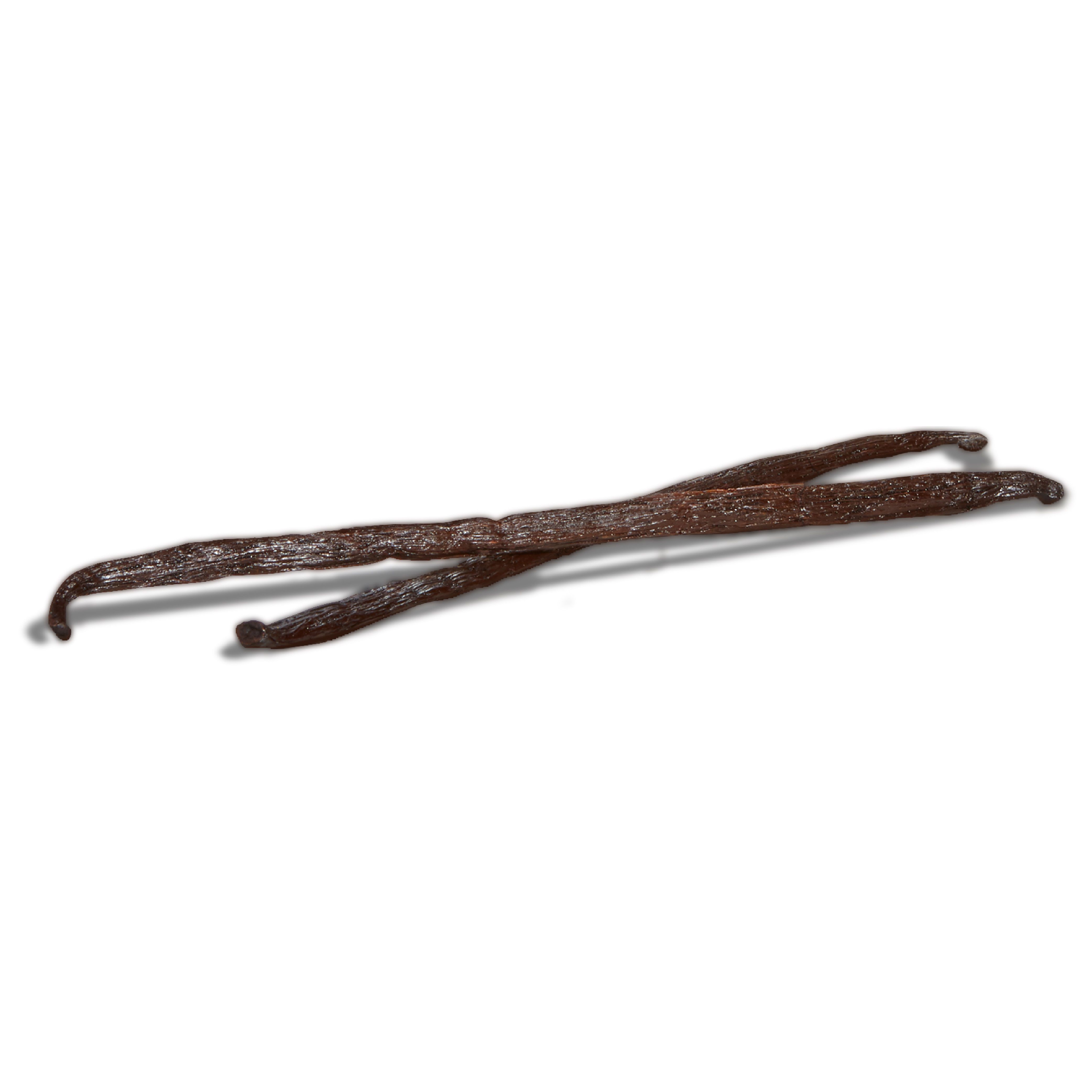Vanilla Bean
